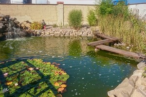 přírodní koupací jezírko