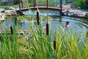 přírodní koupací jezírko