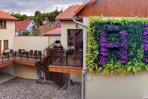 zelená stěna - iniciály jména