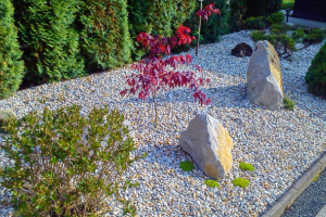 kamenná zahrada