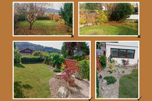 rekonstrukce zahrady