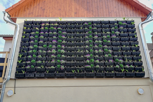 zelená stěna - iniciály jména