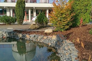 přírodní jezírko