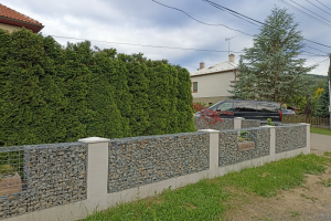 gabionový plot - moravská droba se vsazeným osázeným betonovým korytem