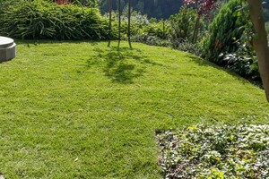 travní koberec po pokládce