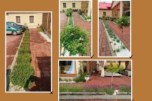 realizace zahrady v asijském stylu