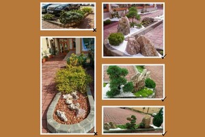 realizace zahrady v asijském stylu