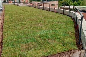 trávník na střeše budovy