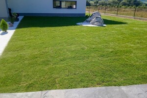 travní koberec po pokládce