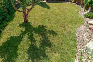 travní koberec po pokládce