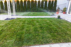 travní koberec po pokládce