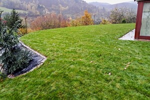 travní koberec po pokládce