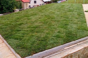 travní koberec po pokládce