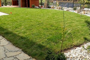 travní koberec po pokládce