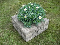 palis&aacute;da 35_3