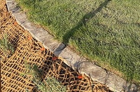 tr&aacute;vn&iacute;kov&aacute; obruba 2