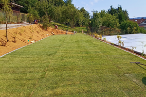 travní koberec po pokládce