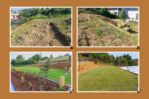 realizace zahrady - výsadby, travní koberec