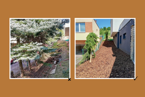 vyčištění a úprava terénu za domem