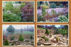 rekonstrukce opěrného zdiva a skalky