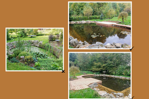 přeměna zahradního jezírka  ve velké přírodní koupací jezírko s molem