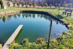 přírodní jezírko